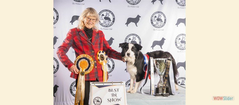 Best in Show Open Show October 2025 - Kirkwind Secret Soul